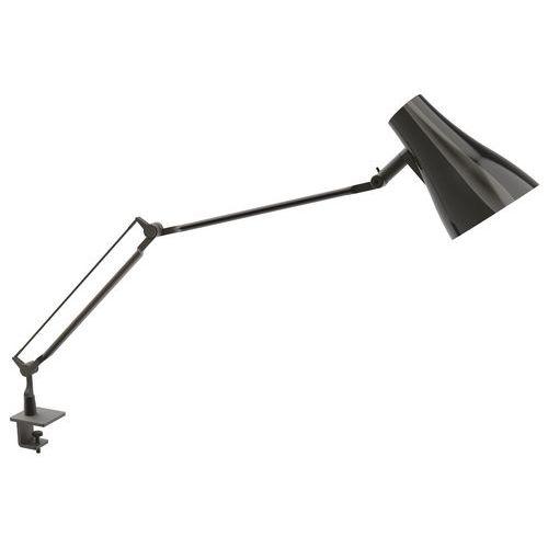 Lampe de Bureau à LED, Lampe D'architecte de Bras Pivotante à Double  Lumière avec Pince