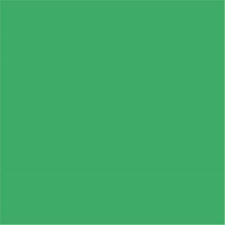 SERVIETTE DOUBLE POINT ECOLABEL 18 G/M² 39X39 CM TISSU VERT PRAIRIE (VENDU PAR 1200)