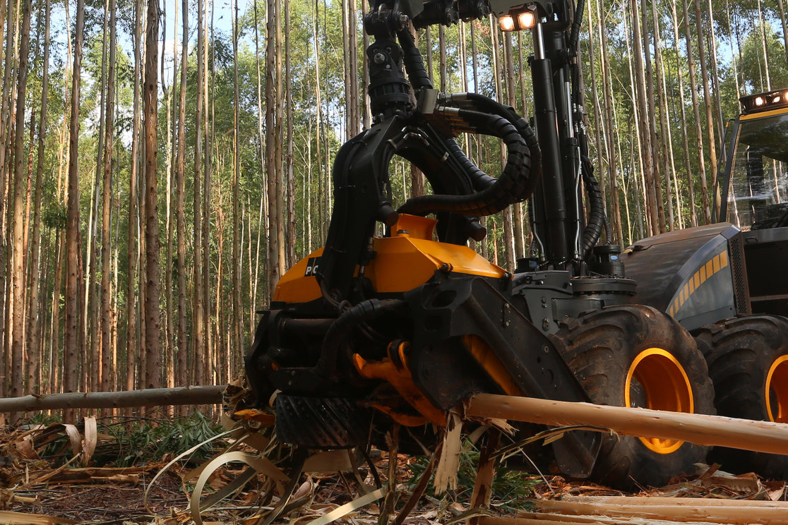 Têtes d'abattage PONSSE H77euca – adaptées pour l'abattage efficace des eucalyptus avec PONSSE Opti4G_0