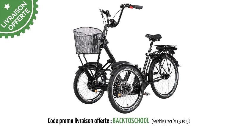 Tricycle électrique Asolo - Moteur Bafang Max-Drive 250 Wh - 7 vitesses Shimano_1