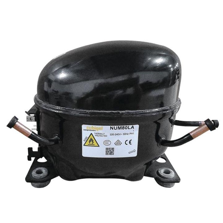 Compresseur R290-NUW80LA compatible avec appareils POLAR DB331 et UA044_0