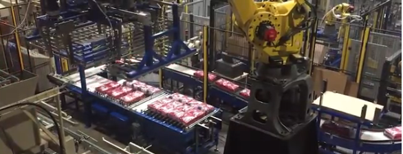 Palettiseur automatique multilignes - robot 4 axes pour fardeaux de sacs de croquettes_0