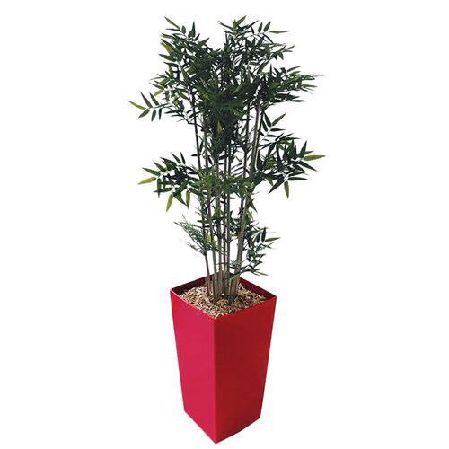 PETIT BAC CARRÉ ROUGE BAMBOUS
