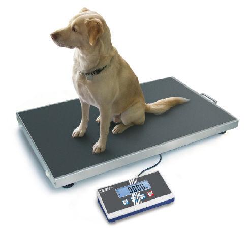 Balance plateforme en acier inoxydable EOS - plateau inox - fonction Hold - transport facile_0