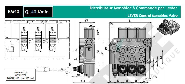 Bm40239 - Distributeur hydraulique monobloc Perée - 40 l/min en fonte_0