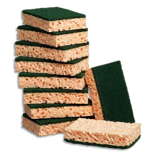 LOT DE 10 ÉPONGES VÉGÉTALES RECTANGULAIRES VERT