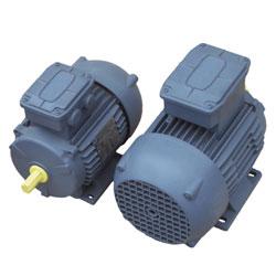 Moteur à cage résistante triphasé - 400V 50Hz - Protection IP55 - Classe F en B3 - 4 et 6 pôles_0