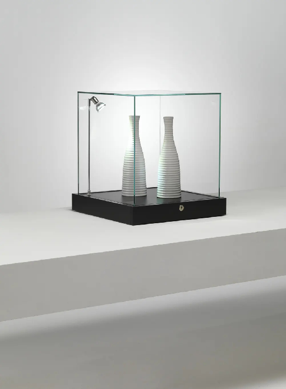 Vitrine muséographique à poser TB/50VA - noir - Spot LED intégré et cloche vitrée_0