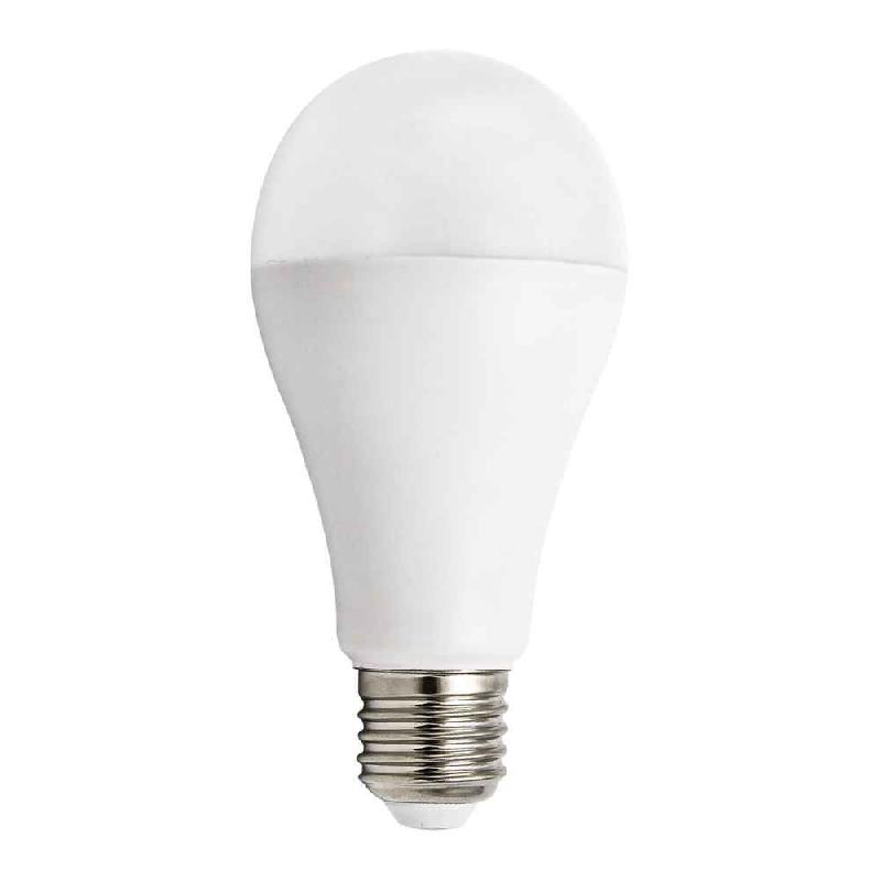 Ampoule LED SMD A65 - 20W / 2300lm - Base E27 - 6500K_0