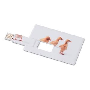 MEMORAMA CREDITCARD. USB FLASH 4GB RÉF-IX377763_0
