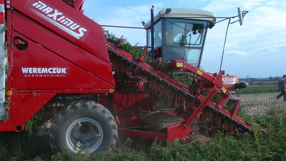 Récolteuse de légumes-racines automotrice Maximus - Weremczuk - moteur diesel 240 ch - 2 rangs à récolter_0