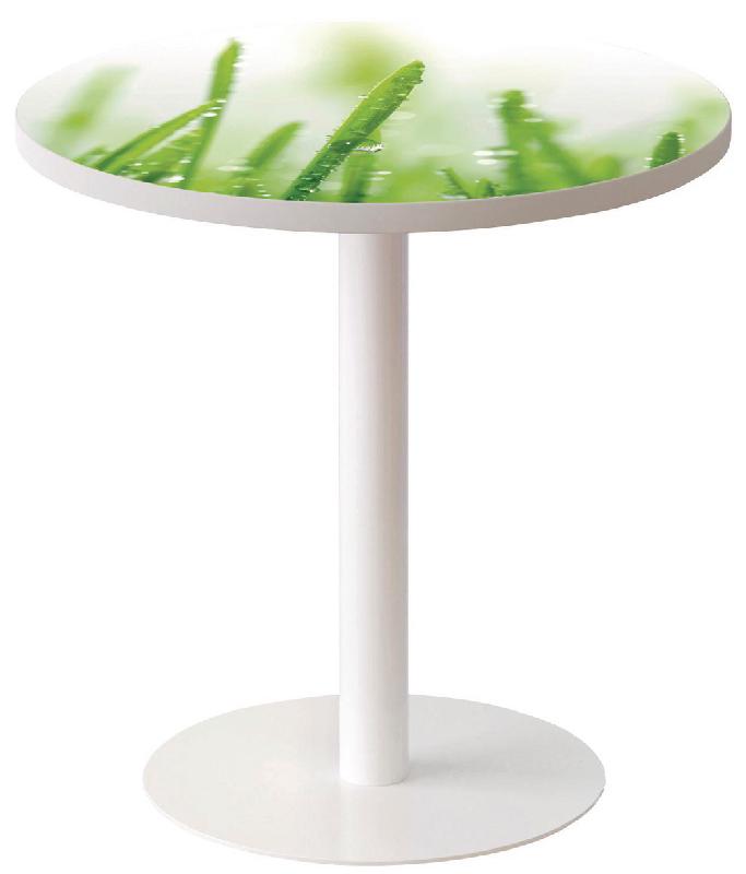 GUÉRIDON BAS EASY OFFICE PIED MÉTAL Ø 60 CM PLATEAU COLORIS DÉCOR NATURE - MANUTAN COLLECTIVITÉS