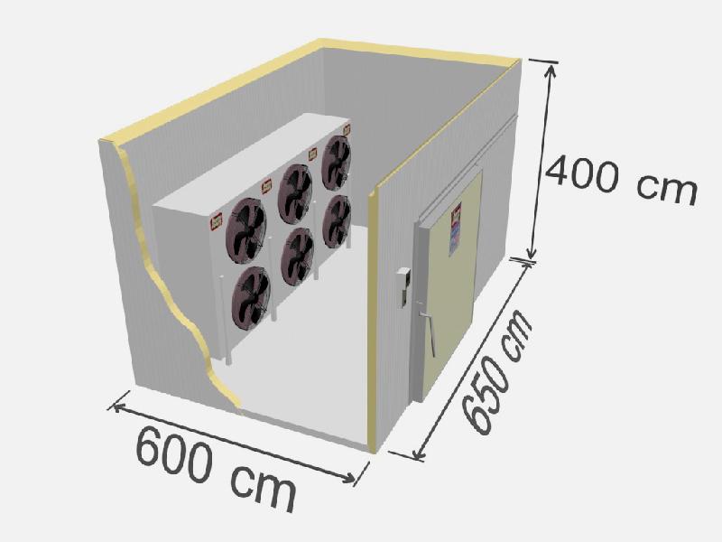 Chambre de congélation industrielle TD SR-156 - 156 m3 - Isolation en panneaux sandwich - Capacité 12 500 kg_0