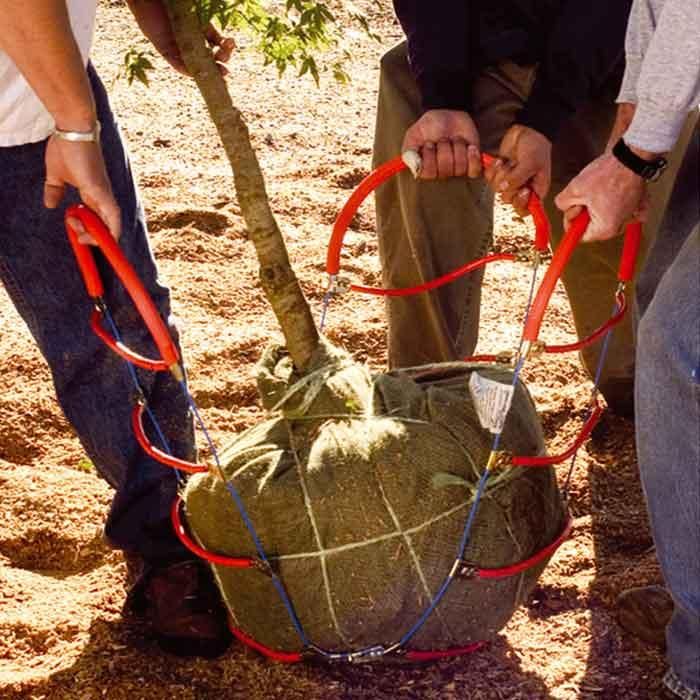 CHAÎNE POUR TRANSPORT DE MOTTE