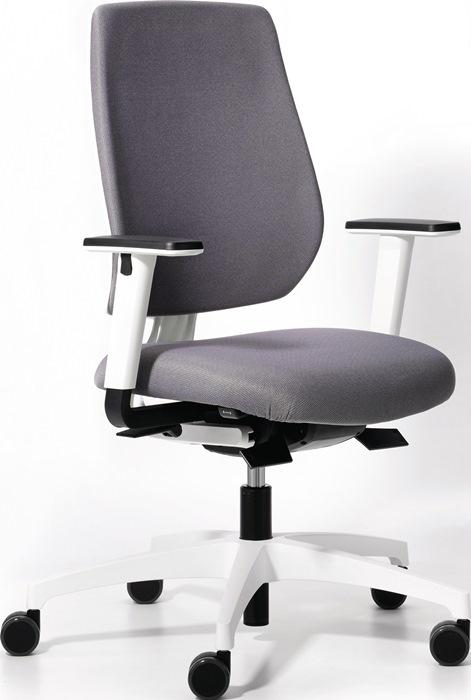Chaise de bureau pivotante avec technique synchrone grise platine 390-510 mm avec accoudoirs Capacité charge 110 kg DAUPHIN_0