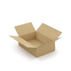 CAISSE CARTON BRUNE SIMPLE CANNELURE À MONTAGE INSTANTANÉ RAJA 31X22X10 CM