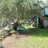 Vho - vibreur arboricole - amb rousset - secouer jusqu’à 30 arbres par heure_0