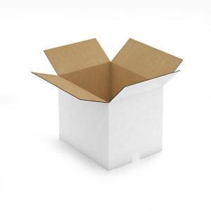 CAISSE CARTON BLANCHE DOUBLE CANNELURE RAJA 48,5X38,5X40 CM