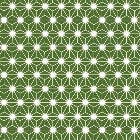 FEUILLE DE FILM OPP DÉCORATION DELICATESSEN 16X16 CM PLASTIQUE VERT (VENDU PAR 500)