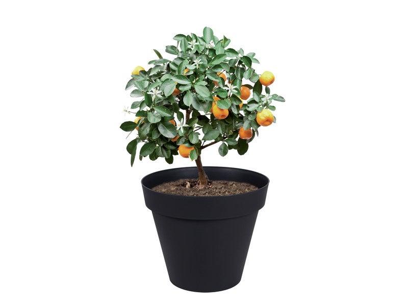 Pot de fleur plastique EDA - Diam. 80 cm x H. 67 cm - Gris anthracite - Résistant aux UV - Grand volume 170L_0