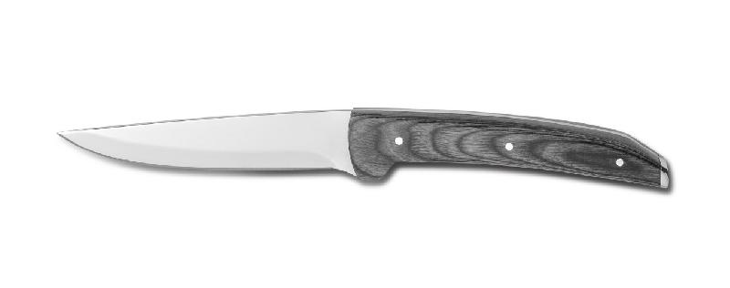 Couteau à steak Torino - Design élégant en acier inoxydable 420 et bois gris - 230 mm_0