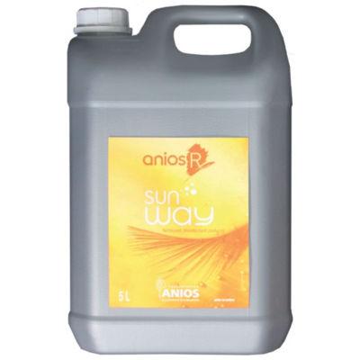 Désinfectant multi-usages nettoyant Anios' R Sun Way 5 L_0