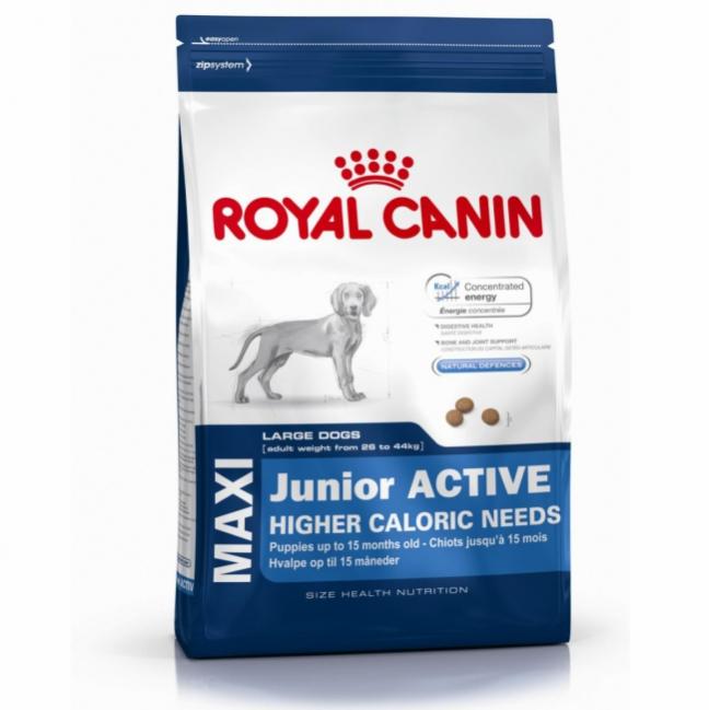 ALIMENT POUR CHIEN MAXI JUNIOR ACTIVE ROYAL CANIN