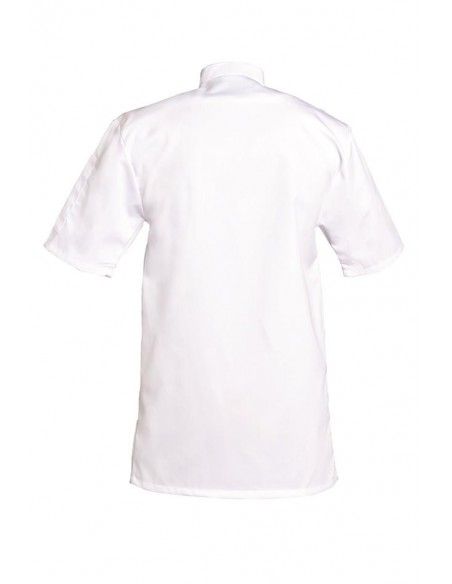 Veste de cuisine manches courtes - Lucasmcp00 - SNV - col officier - 1 poche intérieure et 1 poche stylo bras_0