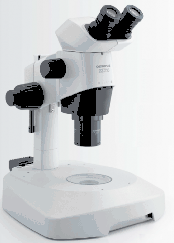 Szx10 - stéréomicroscope_0