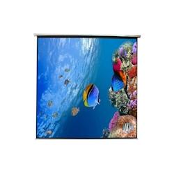 Ecran de projection murale 240x240cm 135