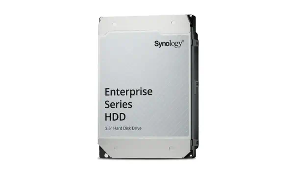 Synology Enterprise disque dur 20 To 7200 tr/min 512 Mo 3.5