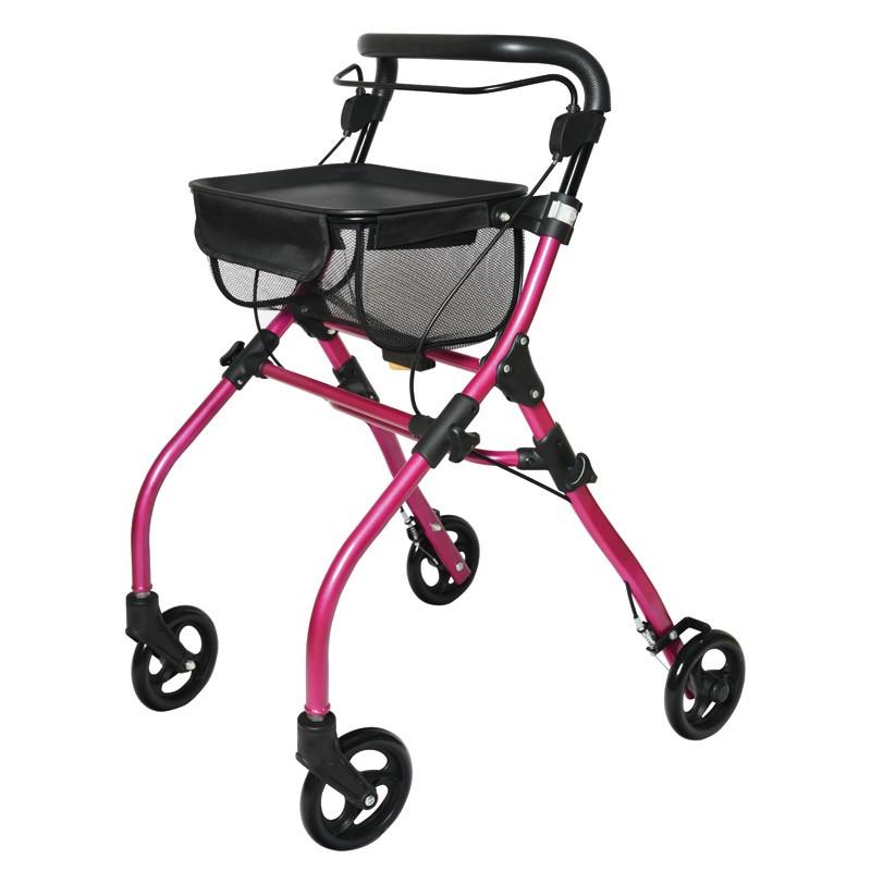 Rollator pliable d'intérieur - RLMRCHPNDRS-ID01_0