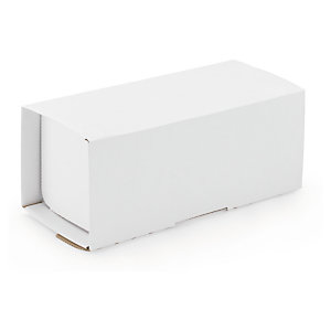 BOÎTE POSTALE CARTON BLANCHE SÉCURISÉE RAJA 20X10X10 CM