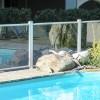 Neptunal - Barrière de piscine en aluminium HORIZAL - Protection conforme NF P 90-306_0