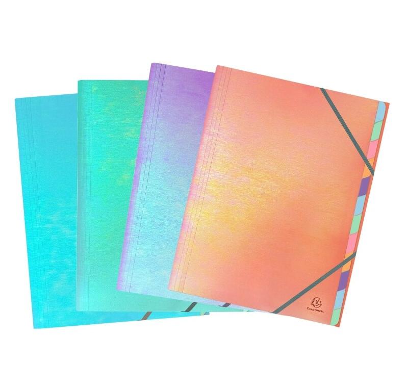 Exacompta Lot de 8 Trieur agrafé CANDY TIDY A4, polypro / int. Carte, - compartiments, coloris assortis (4) - 3130630532309_0