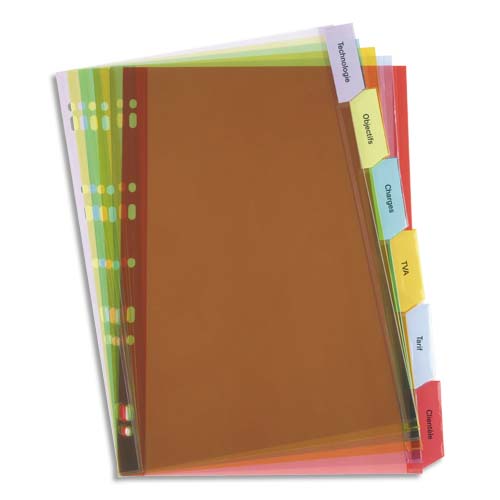 Lot de 12 intercalaires A5 à 6 trous colorés pour journal, cahier, 6  couleurs : : Fournitures de bureau