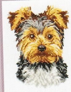 KIT POINT COMPTÉ - YORKSHIRE TERRIER