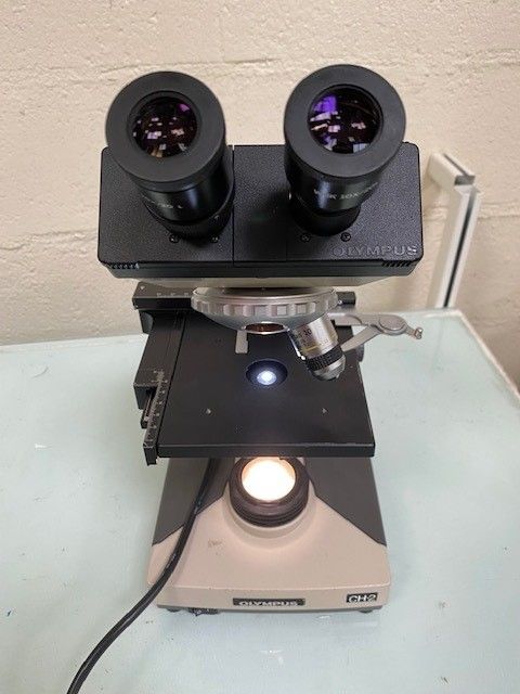 Microscope d'occasion de laboratoire pharmaceutique - olympus ch-2_0