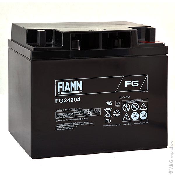 Batterie plomb AGM FG24204 12V 42Ah - Cosse M6 - Gamme standard - Marque Fiamm_0