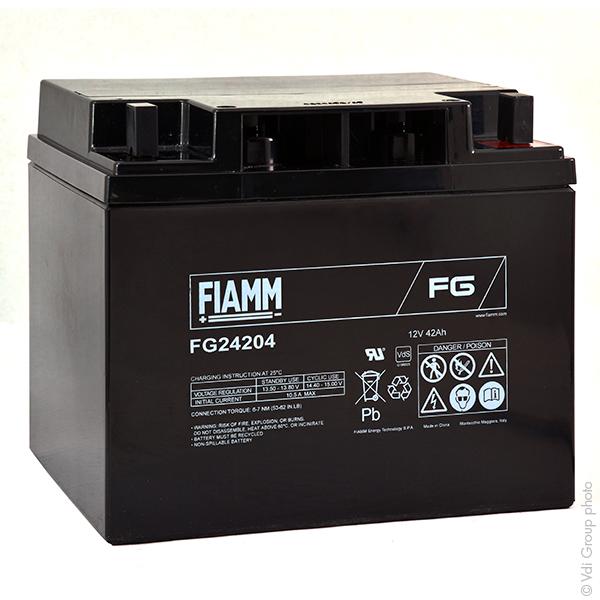 BATTERIE PLOMB AGM FG24204 12V 42AH M6-M_0