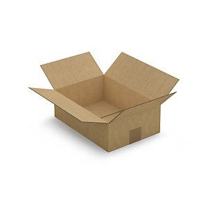 CAISSE CARTON BRUNE SIMPLE CANNELURE RAJA 31X21,5X10 CM