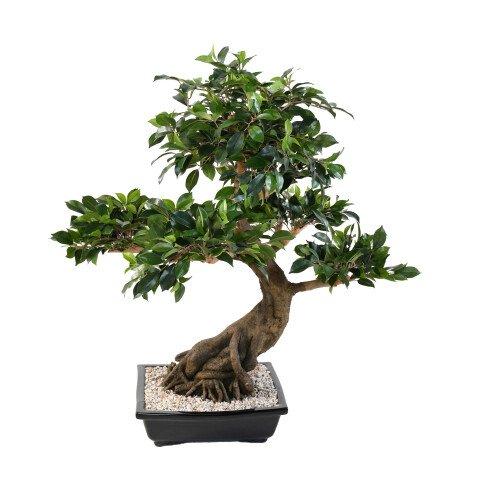 PLANTE ARTIFICIELLE D'INTÉRIEUR BONSAÏ FICUS 78 CM