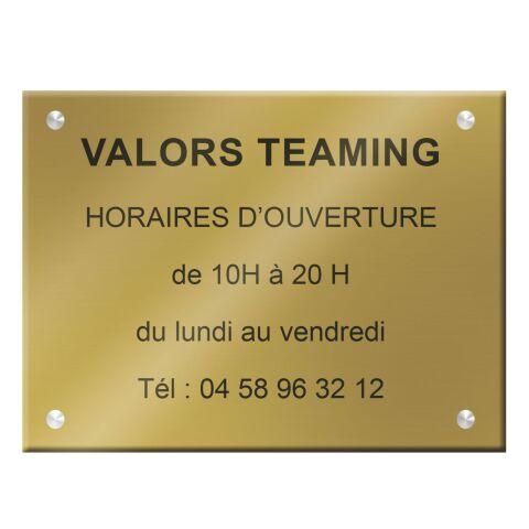 PLAQUE SIGNALÉTIQUE PERSONNALISABLE PLEXI COLOR - 40 X 30 CM JUSQU'À 5 LIGNES
