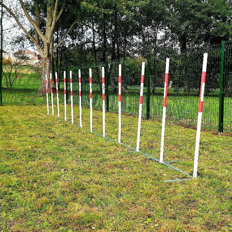Slalom parcours canin 12 piquets en acier galvanisé_0