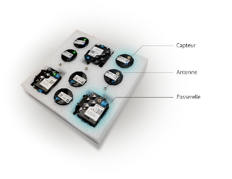 Kit complet pour borne de recharge IRVE - 2 capteurs sans fil Wisecow P, passerelle Gateway Lite et accessoires inclus_0