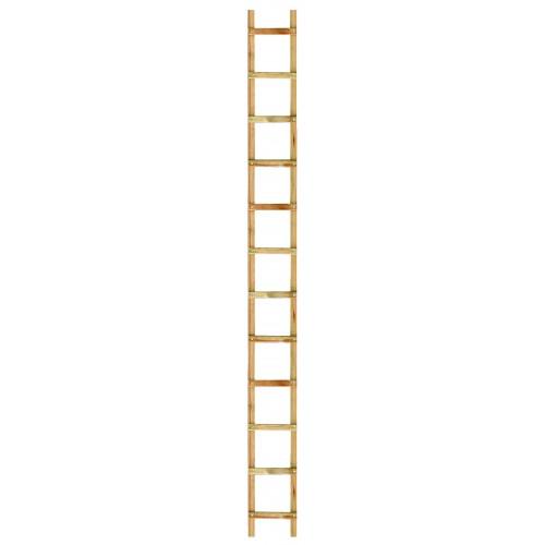 ECHELLE DE TOIT EN BOIS 4.62 M - 14 ÉCHELONS ENTRAXE 33 CM OUTIFRANCE