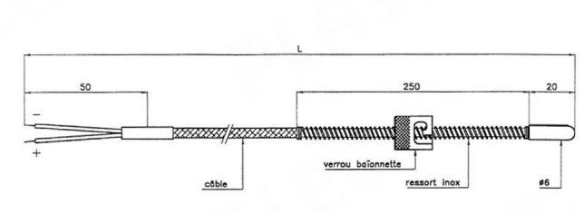 Thermocouple verrou baïonnette PTL6/SCM - inox, norme IEC, 0 à 600°C_0