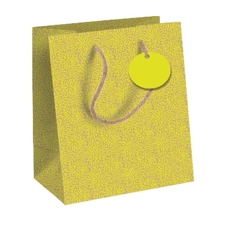 Clairefontaine Lot de 6 Sac cadeau Néon, moyen format (21,5x10,2x25,3 cm), papier 210 g/m², cordelette assortie - jaune 30675-3C_0