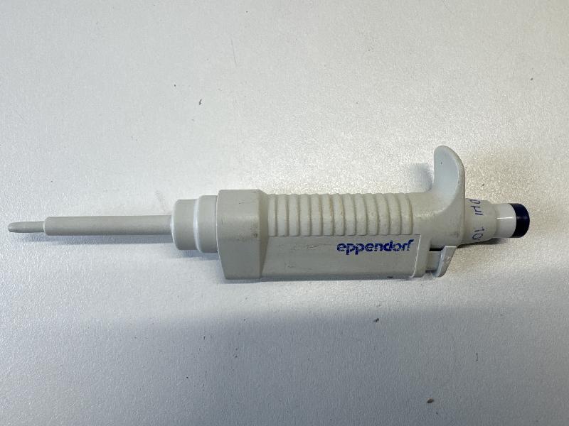 Micropipette monocanal Eppendorf Fixed-volume | 100 µL_0