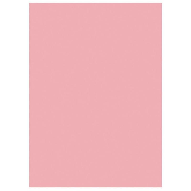 STAPLES CHEMISES-DOSSIERS - PASTEL - ROSE EN CARTE (LOT DE 100)